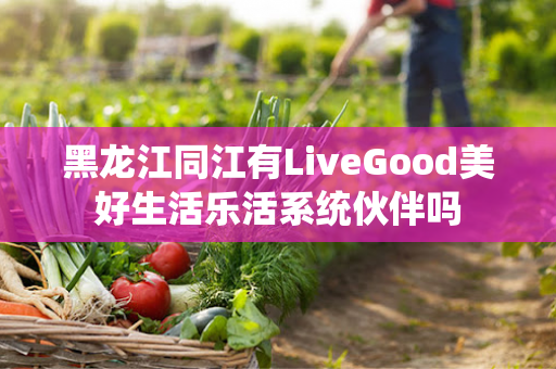 黑龙江同江有LiveGood美好生活乐活系统伙伴吗