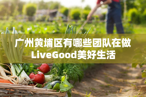 广州黄埔区有哪些团队在做LiveGood美好生活