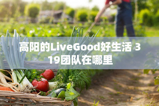 高阳的LiveGood好生活 319团队在哪里