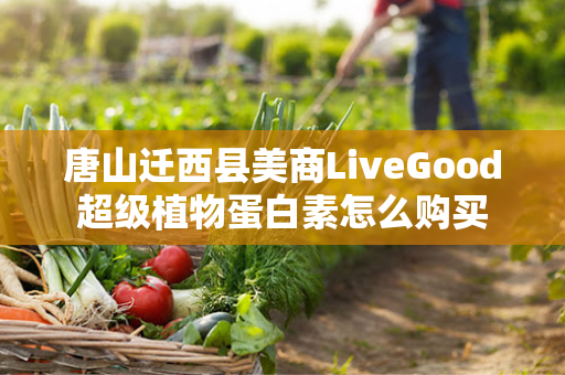 唐山迁西县美商LiveGood超级植物蛋白素怎么购买