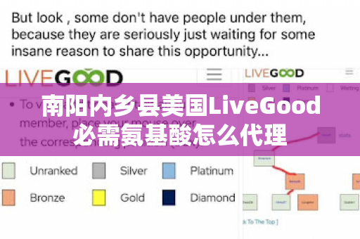 南阳内乡县美国LiveGood必需氨基酸怎么代理