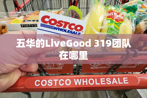 五华的LiveGood 319团队在哪里