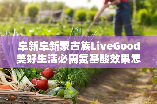 阜新阜新蒙古族LiveGood美好生活必需氨基酸效果怎么样